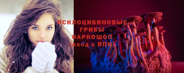 тгк Аркадак