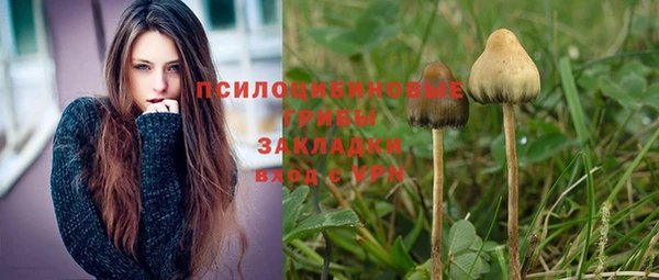 эйфоретик Армянск