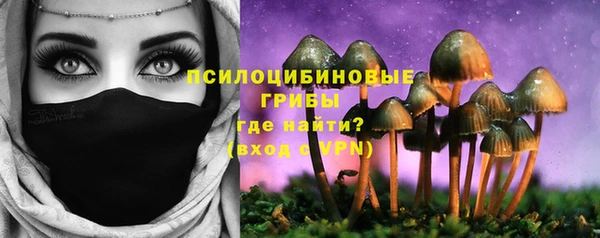 эйфоретик Армянск