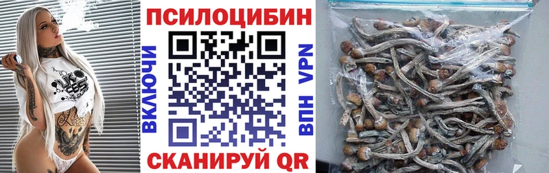 где купить наркоту  Пыть-Ях  Псилоцибиновые грибы MAGIC MUSHROOMS 